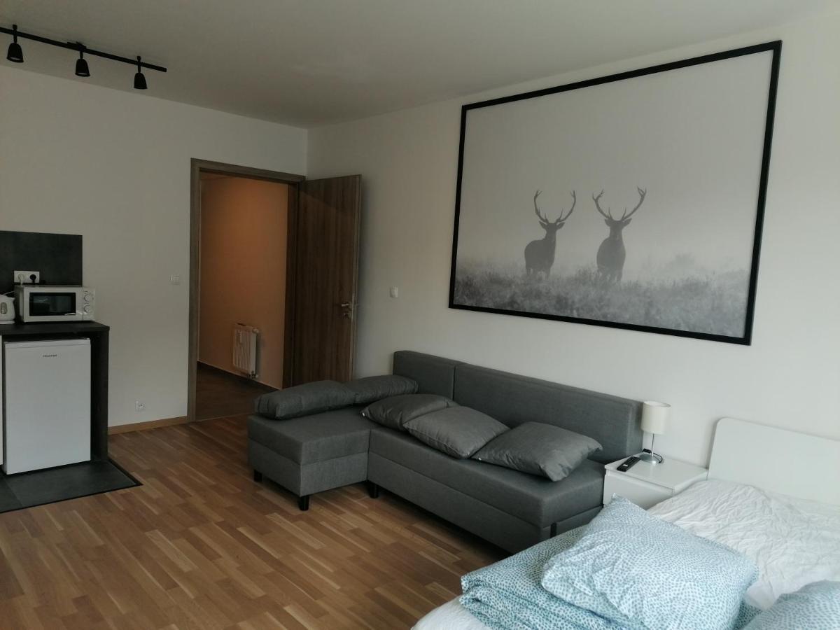 Brand New Studio Apartment #21 With Free Secure Parking In The Center Prague Ngoại thất bức ảnh